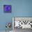 Purple Flower on Purple 03-Tom Quartermaine-Giclee Print displayed on a wall