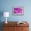 Purple Flower Study-István Nagy-Framed Photographic Print displayed on a wall