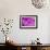 Purple Flower Study-István Nagy-Framed Photographic Print displayed on a wall