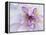 Purple Flower-Michele Westmorland-Framed Premier Image Canvas