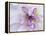 Purple Flower-Michele Westmorland-Framed Premier Image Canvas