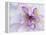 Purple Flower-Michele Westmorland-Framed Premier Image Canvas