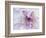 Purple Flower-Michele Westmorland-Framed Photographic Print