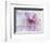 Purple Flower-Michele Westmorland-Framed Photographic Print