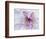 Purple Flower-Michele Westmorland-Framed Photographic Print