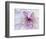 Purple Flower-Michele Westmorland-Framed Photographic Print