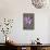 Purple Flower-Den Reader-Mounted Photographic Print displayed on a wall