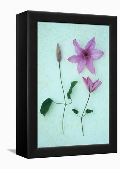 Purple Flower-Den Reader-Framed Premier Image Canvas