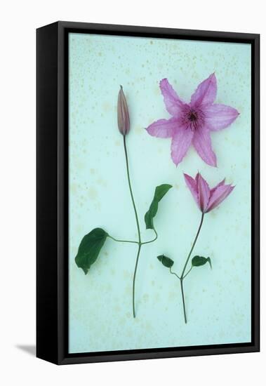 Purple Flower-Den Reader-Framed Premier Image Canvas