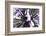 Purple Flower-PhotoINC-Framed Photographic Print