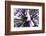 Purple Flower-PhotoINC-Framed Photographic Print