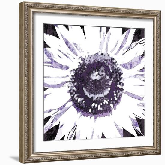 Purple Flower-Christine O’Brien-Framed Giclee Print