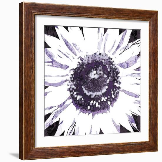 Purple Flower-Christine O’Brien-Framed Giclee Print