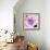 Purple Flower-Emily Navas-Framed Art Print displayed on a wall