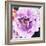 Purple Flower-Emily Navas-Framed Art Print