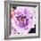 Purple Flower-Emily Navas-Framed Art Print