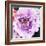 Purple Flower-Emily Navas-Framed Art Print