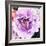 Purple Flower-Emily Navas-Framed Art Print