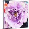 Purple Flower-Emily Navas-Mounted Art Print