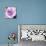 Purple Flower-Emily Navas-Mounted Art Print displayed on a wall