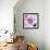 Purple Flower-Emily Navas-Framed Art Print displayed on a wall