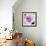 Purple Flower-Emily Navas-Framed Art Print displayed on a wall