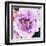 Purple Flower-Emily Navas-Framed Art Print