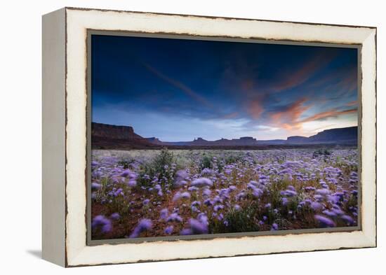 Purple Flowers Bloom, Early Spring, Desert Eco-System Surrounding Fisher Towers Near Moab, Utah-Jay Goodrich-Framed Premier Image Canvas