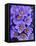 Purple Flowers-Art Wolfe-Framed Premier Image Canvas