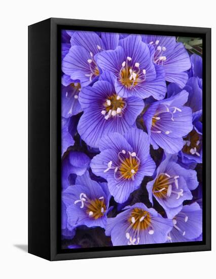 Purple Flowers-Art Wolfe-Framed Premier Image Canvas