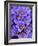 Purple Flowers-Art Wolfe-Framed Photographic Print