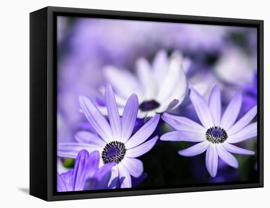 Purple Flowers-null-Framed Premier Image Canvas