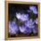 Purple Flowers-null-Framed Premier Image Canvas