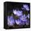 Purple Flowers-null-Framed Premier Image Canvas