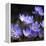 Purple Flowers-null-Framed Premier Image Canvas