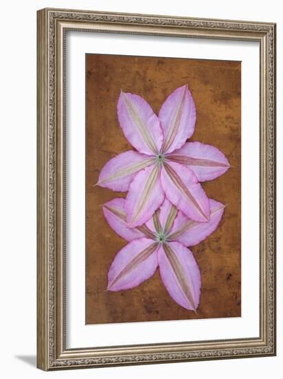 Purple Flowers-Den Reader-Framed Photographic Print