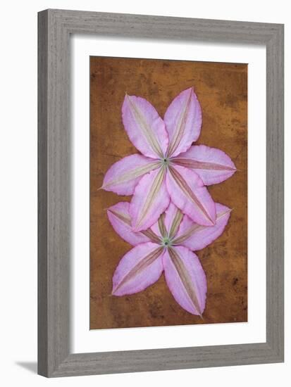 Purple Flowers-Den Reader-Framed Photographic Print