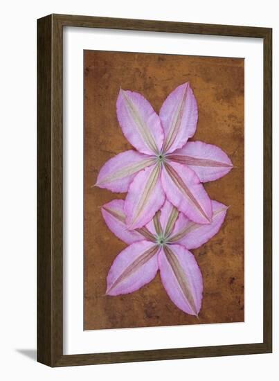 Purple Flowers-Den Reader-Framed Photographic Print