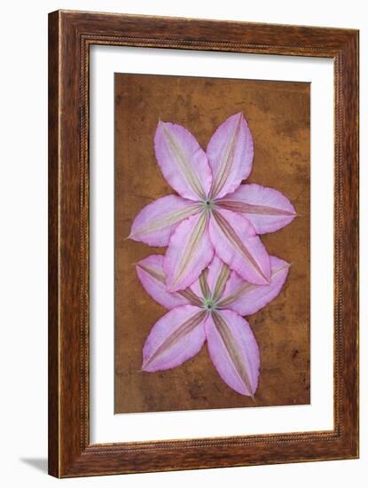 Purple Flowers-Den Reader-Framed Photographic Print