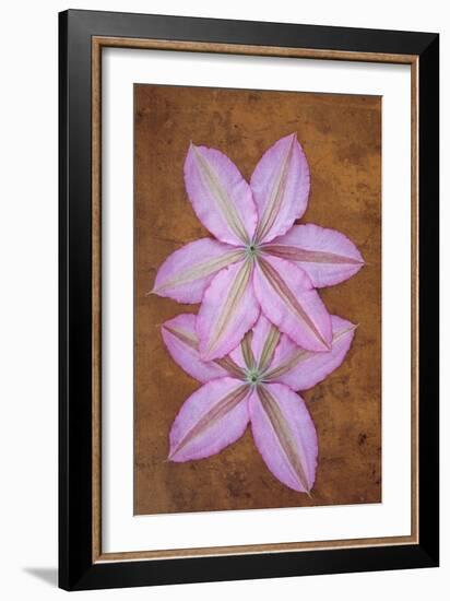 Purple Flowers-Den Reader-Framed Photographic Print