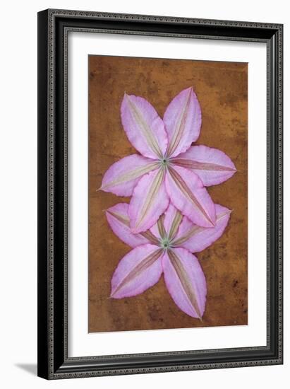 Purple Flowers-Den Reader-Framed Photographic Print