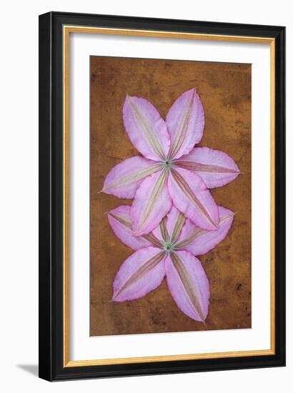 Purple Flowers-Den Reader-Framed Photographic Print