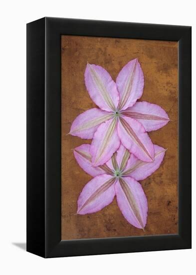 Purple Flowers-Den Reader-Framed Premier Image Canvas