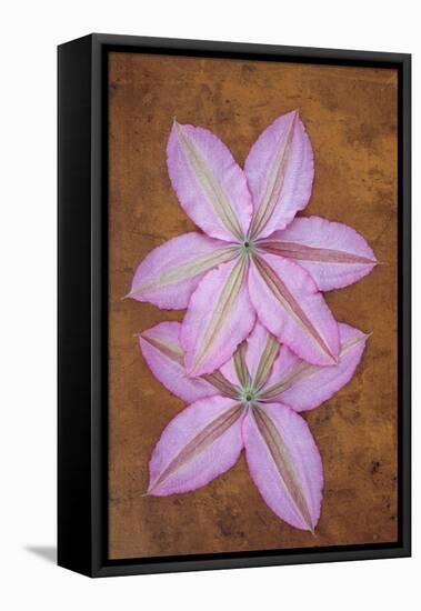 Purple Flowers-Den Reader-Framed Premier Image Canvas