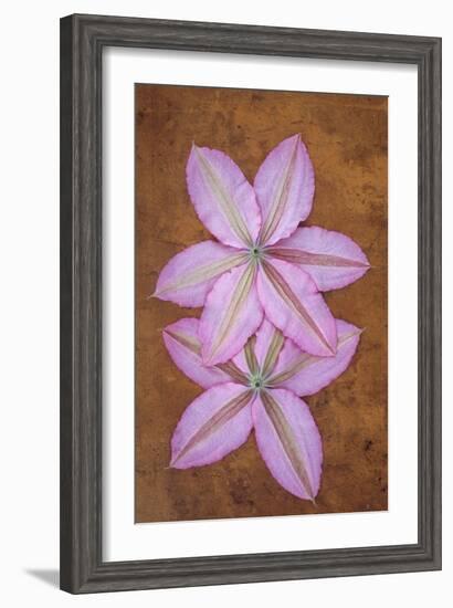 Purple Flowers-Den Reader-Framed Premium Photographic Print
