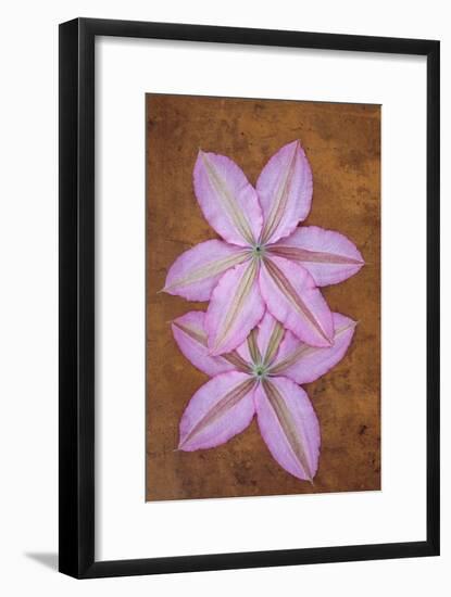 Purple Flowers-Den Reader-Framed Premium Photographic Print