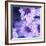 Purple Flowers-null-Framed Photographic Print