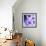 Purple Flowers-null-Framed Photographic Print displayed on a wall