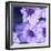 Purple Flowers-null-Framed Photographic Print