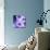 Purple Flowers-null-Mounted Photographic Print displayed on a wall